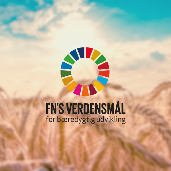 Billede af mark verdensmålslogo forrest