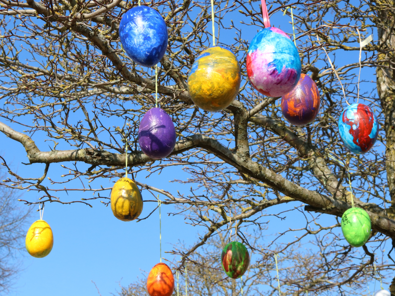 Foto af farvede æg der pynter i et træ